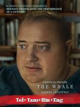 The Whale (2023) HDRip Telugu Dubbed Full Movie Watch Online Free Download | TodayPk